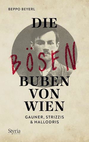 Cover for Beppo Beyerl · Die bösen Buben von Wien (Buch) (2022)