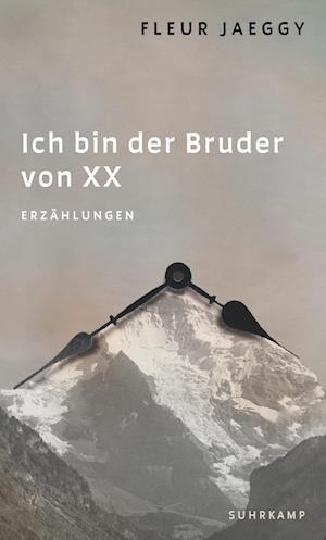 Cover for Fleur Jaeggy · Ich bin der Bruder von XX (Book) (2024)