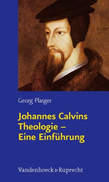 Cover for Georg Plasger · Johannes Calvins Theologie a Eine EinfA&quot;hrung: Eine EinfA&quot;hrung (Gebundenes Buch) (2009)