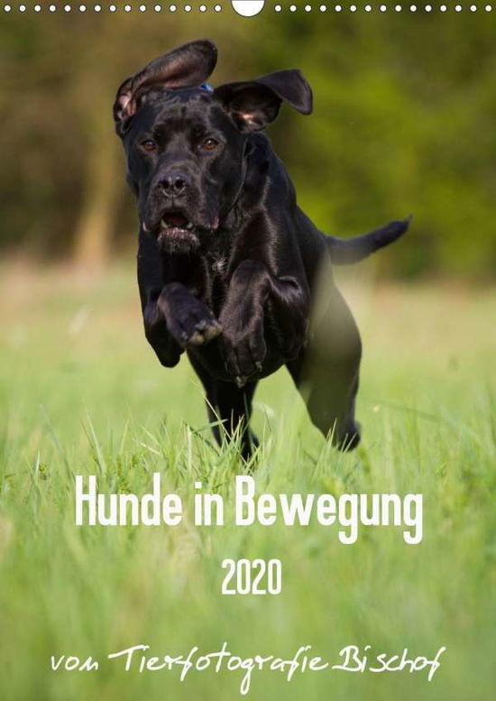 Cover for Bischof · Hunde in Bewegung 2020 von Tier (Book)