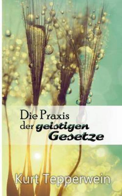 Cover for Tepperwein · Die Praxis der geistigen Ges (Book) (2018)