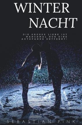 Cover for Pink · Winternacht (Buch)