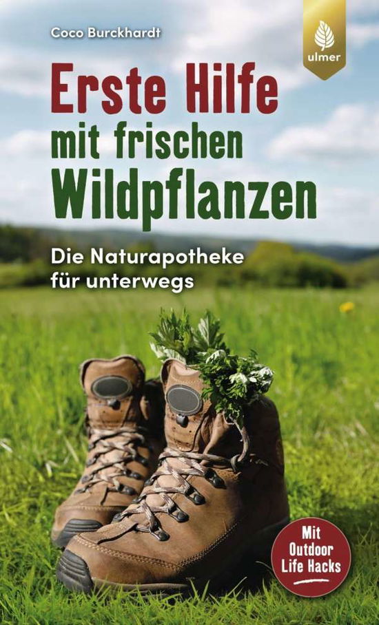 Cover for Burckhardt · Erste Hilfe mit frischen Wil (Book)