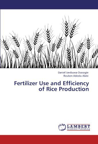 Cover for Reuben Adeolu Alabi · Fertilizer Use and Efficiency of Rice Production (Paperback Bog) (2012)