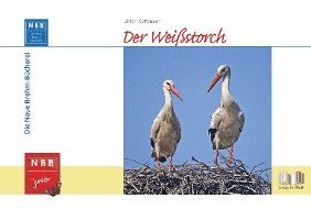 Cover for Ulrich Kattmann · Der Weißstorch (Buch) (2022)