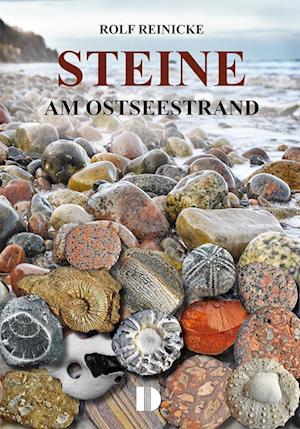 Cover for Rolf Reinicke · Steine am Ostseestrand (Book) (2024)