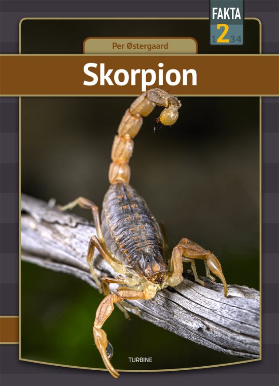 Cover for Per Østergaard · Fakta 2: Skorpion (Hardcover Book) [1th edição] (2022)