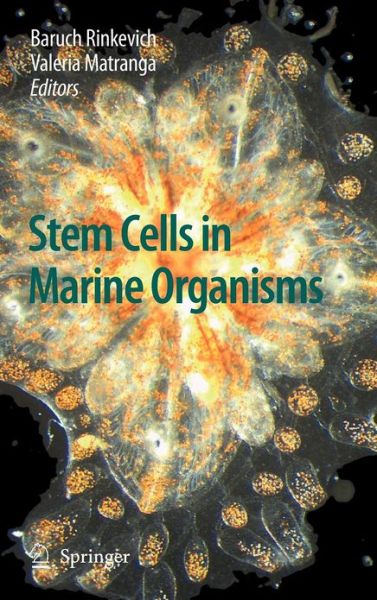 Cover for Baruch Rinkevich · Stem Cells in Marine Organisms (Hardcover Book) [2009 edition] (2009)