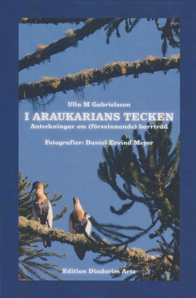 Cover for Ulla M. Gabrielsson · I araukarians tecken : anteckningar om (försvinnande) barrträd (Hardcover Book) (2022)