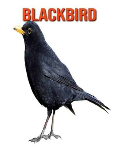 Blackbird - William Doyle - Kirjat - Independently Published - 9798694177665 - maanantai 5. lokakuuta 2020