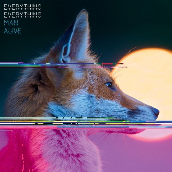 Cover for Everything Everything · Man Alive (LP) (2023)