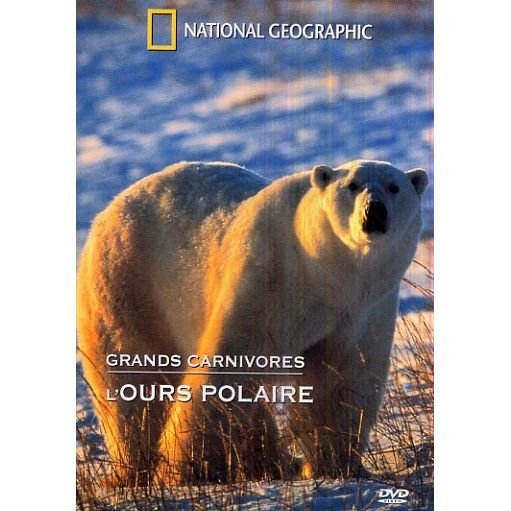 Cover for Same · National Geographic - Grands carnivores : l'ours polaire (DVD)