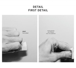 Cover for Detail · First Detail (CD) (2015)