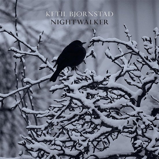 Cover for Ketil Bjornstad · Nightwalker (CD) [Digipak] (2023)