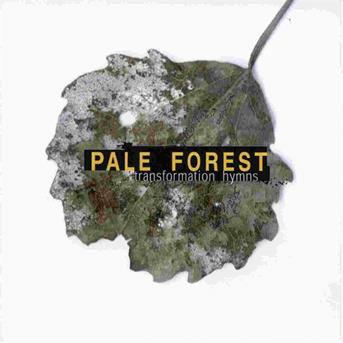 Cover for Pale Forest · Transformation Hymns (CD) (1999)