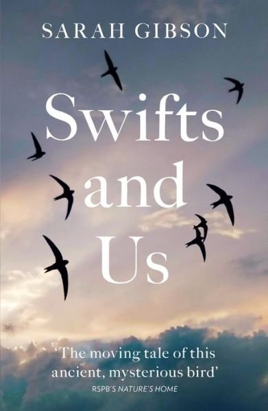 Cover for Sarah Gibson · Swifts and Us: The Life of the Bird That Sleeps in the Sky (Paperback Book) (2022)