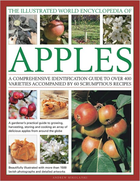 Cover for Andrew Mikolajski · Illustrated World Encyclopedia of Apples (Inbunden Bok) (2012)