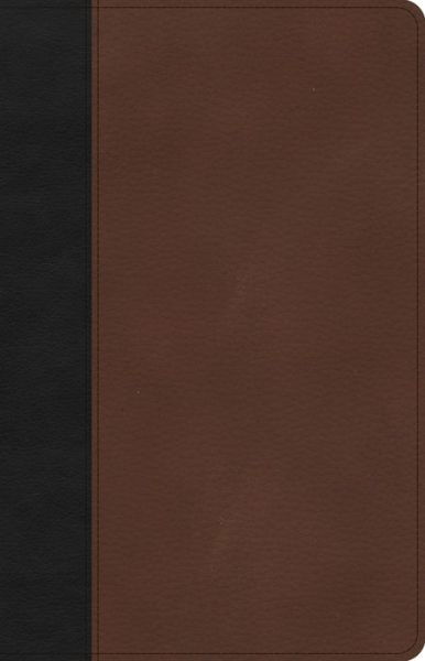 Cover for CSB Bibles By Holman · CSB Thinline Bible, Black / Brown LeatherTouch (Lederbuch) (2022)