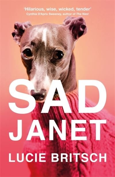 Cover for Lucie Britsch · Sad Janet: ‘A whip-smart, biting tragicomedy’ HuffPost (Paperback Book) (2021)