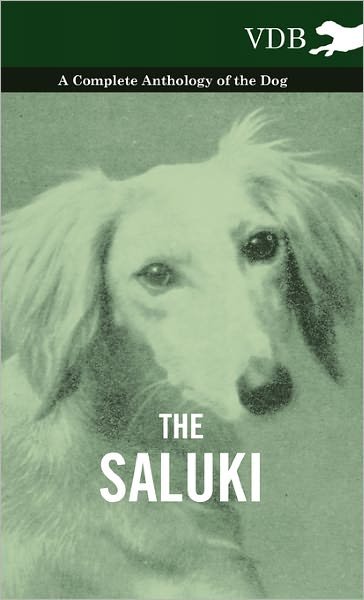 Cover for Various (selected by the Federation of Children's Book Groups) · The Saluki - A Complete Anthology of the Dog (Gebundenes Buch) (2010)