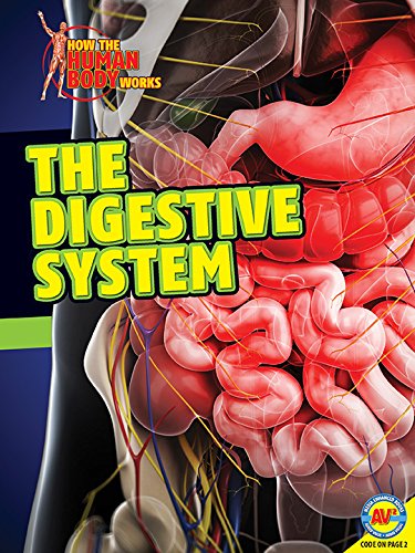 Cover for Simon Rose · The Digestive System (How the Human Body Works) (Hardcover Book) (2014)