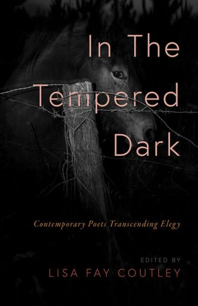 Cover for Lisa Fay Coutley · In the Tempered Dark (Book) (2024)