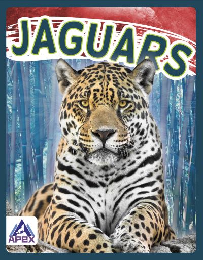 Wild Cats: Jaguars - Sophie Geister-Jones - Books - North Star Editions - 9781637380666 - August 1, 2021