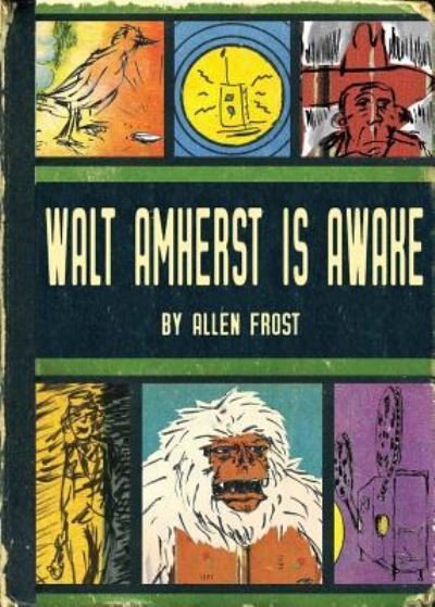 Cover for Allen Frost · Walt Amherst is Awake (Paperback Book) (2019)