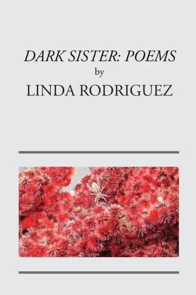 Cover for Rodriguez Linda · Dark Sister (Paperback Book) (2018)