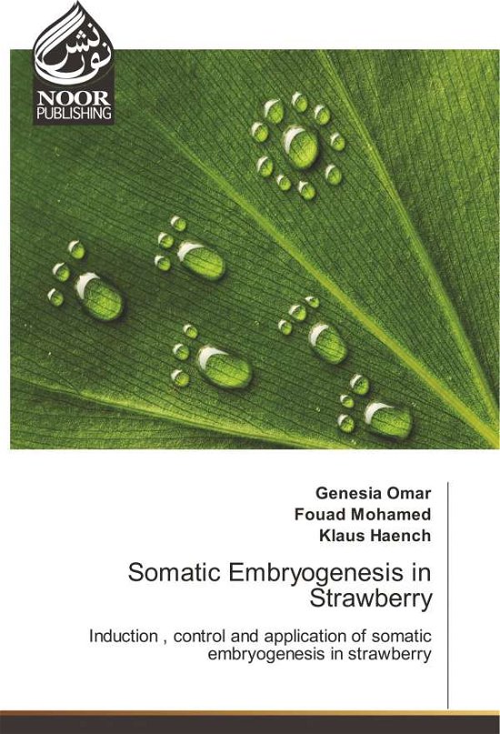 Cover for Omar · Somatic embryogenesis in strawberr (Buch)