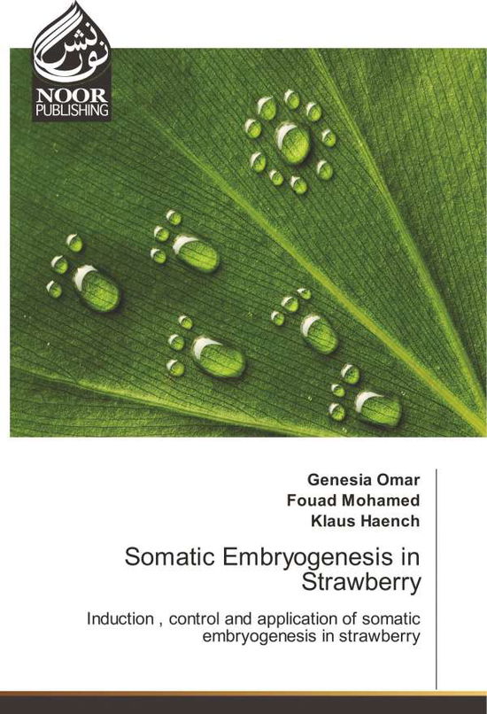 Somatic embryogenesis in strawberr - Omar - Książki -  - 9783330841666 - 