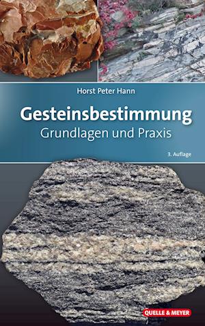 Cover for Horst Peter Hann · Gesteinsbestimmung (Bok) (2023)