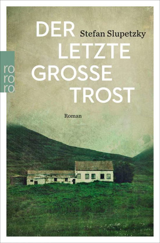 Cover for Stefan Slupetzky · Der letzte grosse Trost (Paperback Book) (2017)