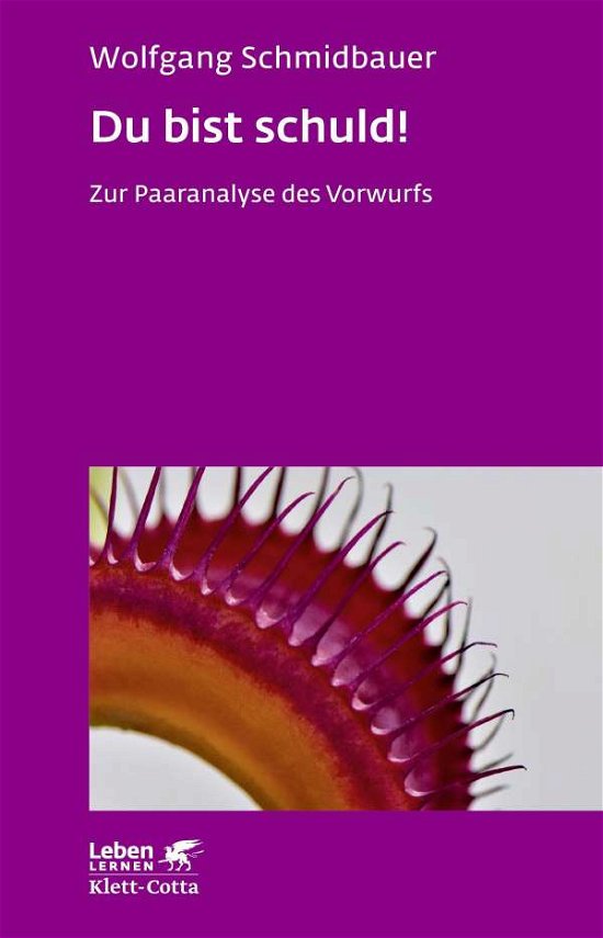 Cover for Schmidbauer · Du bist schuld! (Book)