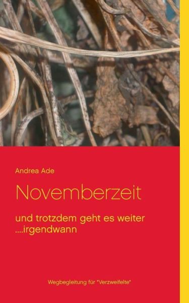 Cover for Andrea Ade · Novemberzeit (Paperback Book) [German edition] (2016)