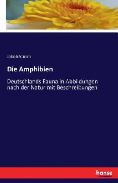 Cover for Jakob Sturm · Die Amphibien: Deutschlands Fauna in Abbildungen nach der Natur mit Beschreibungen (Taschenbuch) (2016)