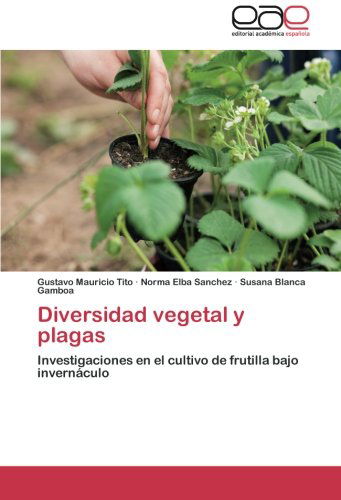 Cover for Susana Blanca Gamboa · Diversidad Vegetal Y Plagas: Investigaciones en El Cultivo De Frutilla Bajo Invernáculo (Paperback Book) [Spanish edition] (2012)