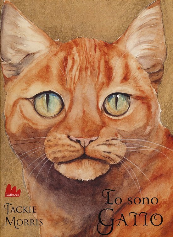 Cover for Jackie Morris · Io Sono Gatto. Ediz. Illustrata (Bog)