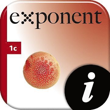 Cover for Hector · Exponent: Exponent 1c, digital, lärarlic, 12 mån (MISC) (2012)