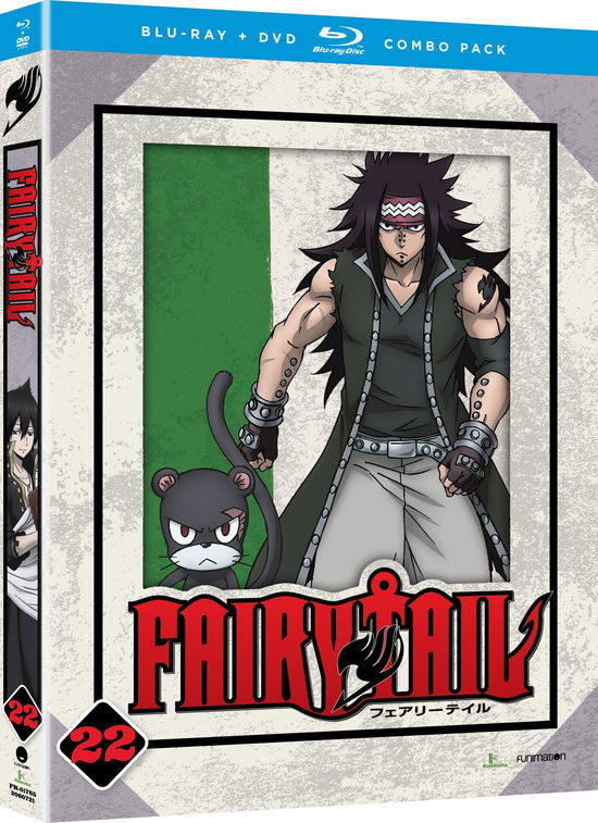 Cover for Blu-ray · Fairy Tail: Part 22 (Blu-ray) (2016)