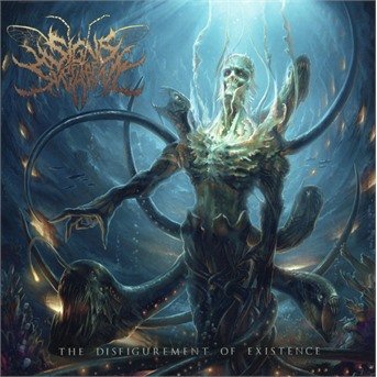 The Disfigurement of Existence - Signs of the Swarm - Musik - METAL/HARD ROCK - 0856066006667 - 3. november 2017