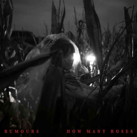 Cover for Rumours · How Many Roses (LP) (2020)