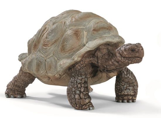 Reuzenschildpad Schleich (14824) - Schleich - Gadżety - Schleich - 4055744033667 - 2020