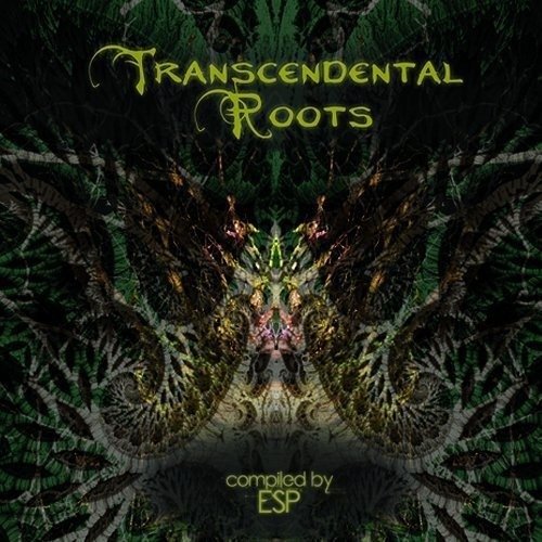 Transcendental Roots - Transcendental Roots / Various - Música - MADMUZIK - 5060376220667 - 15 de julio de 2016