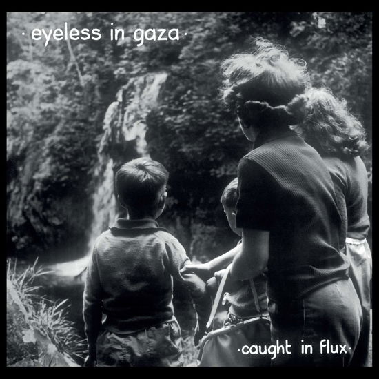 Eyeless In Gaza · Caught In A Flux (LP) (2020)
