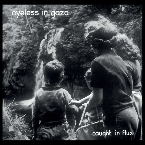 Cover for Eyeless In Gaza · Caught In A Flux (LP) (2020)