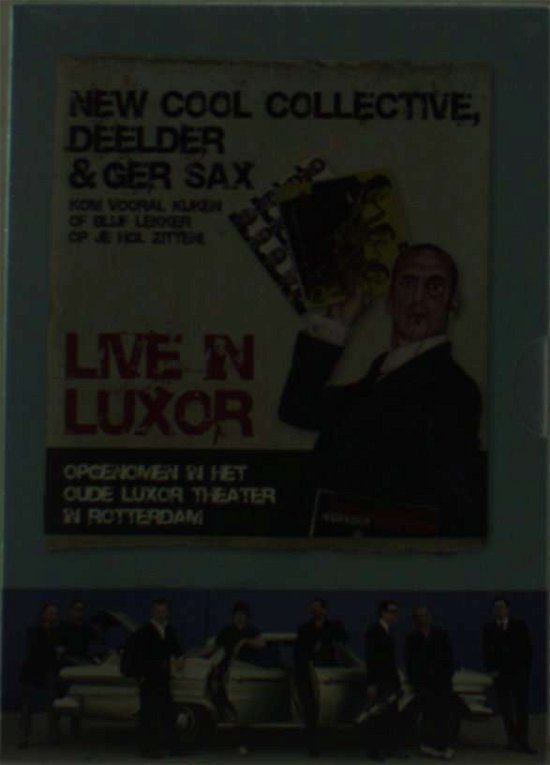 Cover for New Cool Collective · Live in Luxor (DVD) (2009)