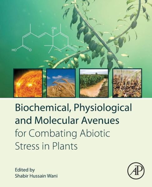 Cover for Shabir Hussain Wani · Biochemical, Physiological and Molecular Avenues for Combating Abiotic Stress in Plants (Paperback Book) (2018)