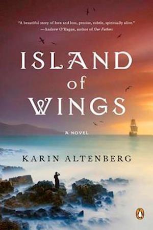 Cover for Karin Altenberg · Island of wings (Bok) (2011)