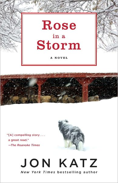 Cover for Jon Katz · Rose in a Storm: A Novel (Paperback Book) (2011)